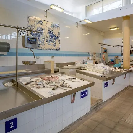 Greice Homes-apartamento 2 Quartos, Monte Da Balaia, Olhos De Agua, Albufeira 別荘 *